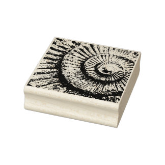 Tampons Encreurs texture ammonite