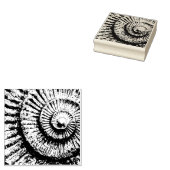 Tampons Encreurs texture ammonite (Tamponné)