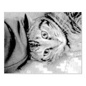 Tampons Encreurs Tigre (Impression)