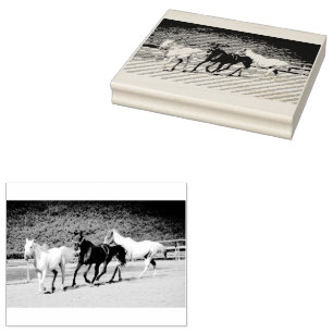 Tampons Encreurs Timbre à trois chevaux