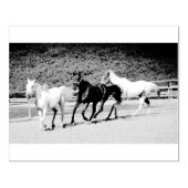 Tampons Encreurs Timbre à trois chevaux (Impression)