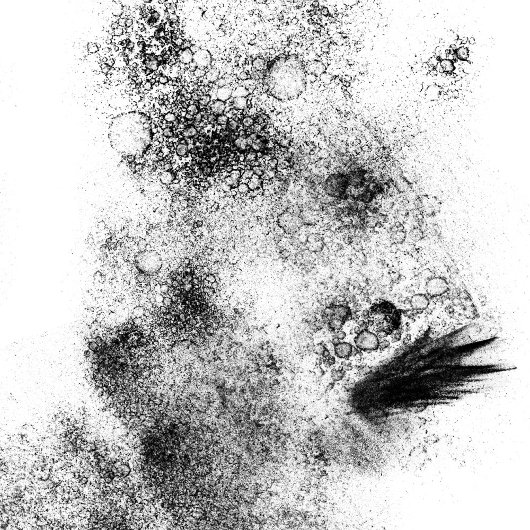 Tampons Encreurs Timbre d'art en bois