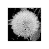 Tampons Encreurs Timbre d'art en bois Dandelion (Impression)
