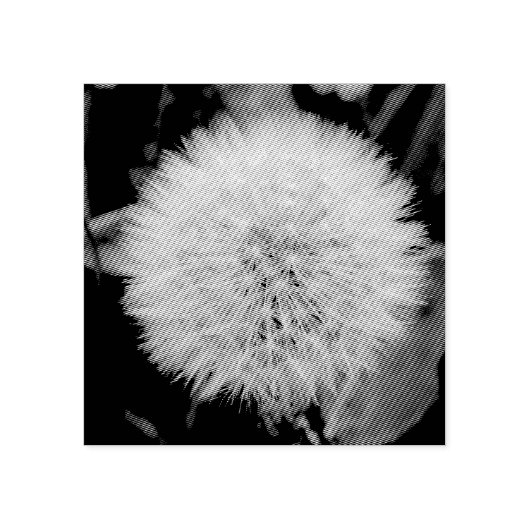 Tampons Encreurs Timbre d'art en bois Dandelion (Impression)