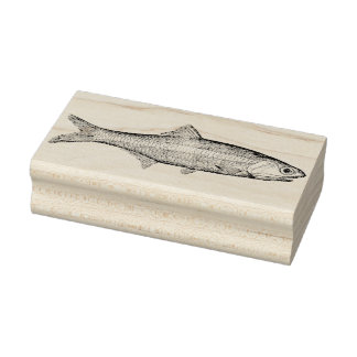 Tampons Encreurs Timbre d'art en caoutchouc d'anchois vintage