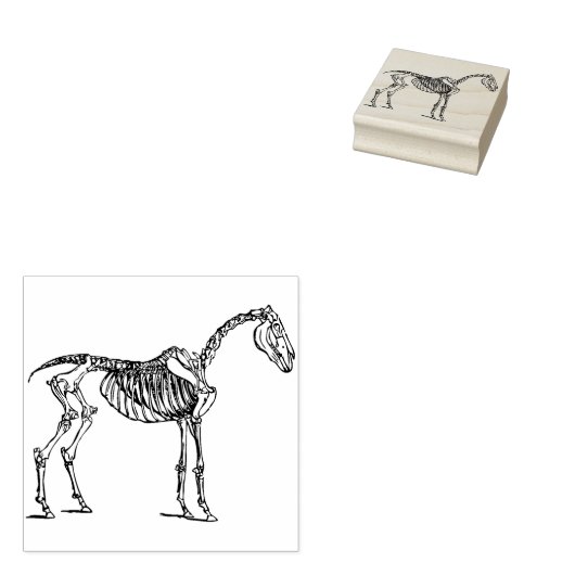 Tampons Encreurs timbre d'art squelette (Tamponné)