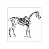 Tampons Encreurs timbre d'art squelette (Impression)