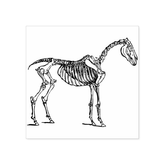 Tampons Encreurs timbre d'art squelette (Impression)