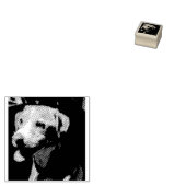 Tampons Encreurs Timbre de Buzz (Tamponné)