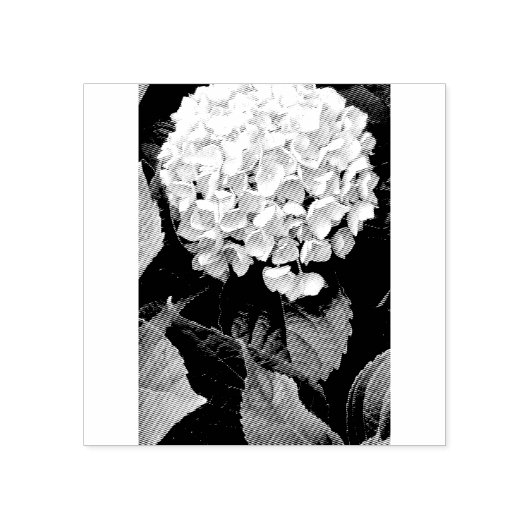 Tampons Encreurs Timbre d'Hydrangea (Impression)