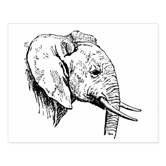 Tampons Encreurs Timbre en bois - Eléphant (Impression)