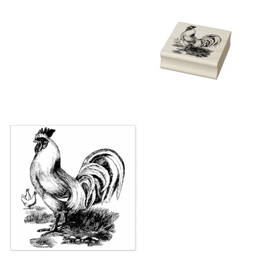 Tampons Encreurs Timbre en caoutchouc (Tamponné)