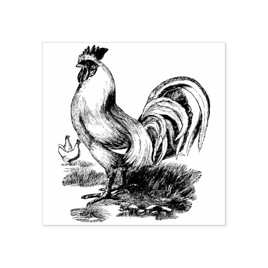 Tampons Encreurs Timbre en caoutchouc (Impression)