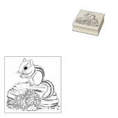 Tampons Encreurs Timbre en caoutchouc Chipmunk et Pine Cones (Tamponné)