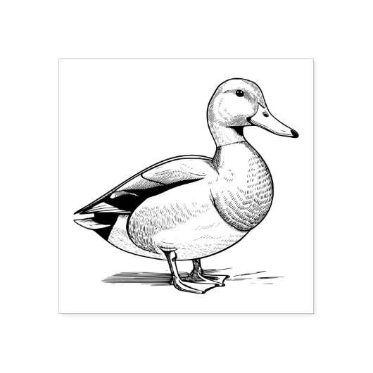 Tampons Encreurs Timbre en caoutchouc de canard (Impression)