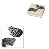 Tampons Encreurs Timbre en caoutchouc de grenouilles (Tamponné)