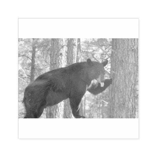 Tampons Encreurs Timbre en caoutchouc de l'ours noir (Impression)