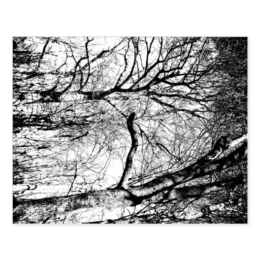 Tampons Encreurs Timbre en caoutchouc des arbres (Impression)