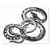 Tampons Encreurs Timbre en caoutchouc des serpents (Impression)