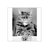 Tampons Encreurs Timbre en caoutchouc Pet Picture (Impression)