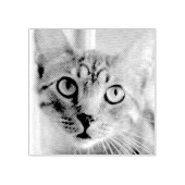 Tampons Encreurs Timbre en caoutchouc photo pour animal domestique  (Impression)