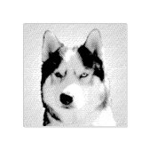 Tampons Encreurs Timbres Husky Personnalisés Timbres Husky Sibérien (Impression)