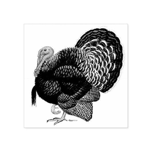 Tampons Encreurs Turquie : Tom en bronze (Impression)