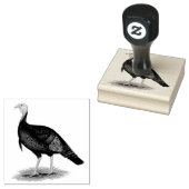 Tampons Encreurs Turquie : Tom sauvage de l'Est (Tamponné)