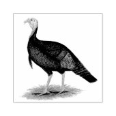 Tampons Encreurs Turquie : Tom sauvage de l'Est (Impression)