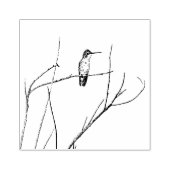 Tampons Encreurs Un colibri sur un bâton (Impression)