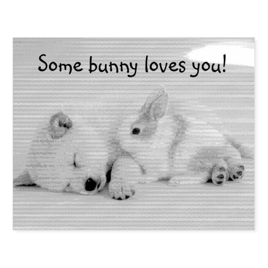 Tampons Encreurs un lapin t'aime textos (Impression)