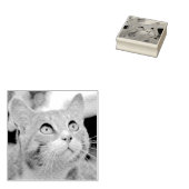 Tampons Encreurs Votre gravure d'animal de compagnie | Gravé à part (Tamponné)