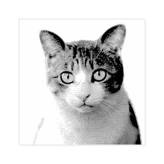 TAMPONS ENCREURS VOTRE PHOTO CAT PET CUSTOMISÉ CAOUTCHOUC EN CAOUTC (Impression)