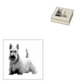 Tampons Encreurs Vue en première ligne de l'entreprise écossaise Wh (Tamponné)