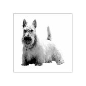 Tampons Encreurs Vue en première ligne de l'entreprise écossaise Wh (Impression)