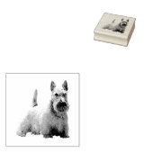 Tampons Encreurs Vue en première ligne de l'entreprise écossaise Wh (Tamponné)