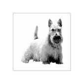 Tampons Encreurs Vue en première ligne de l'entreprise écossaise Wh (Impression)