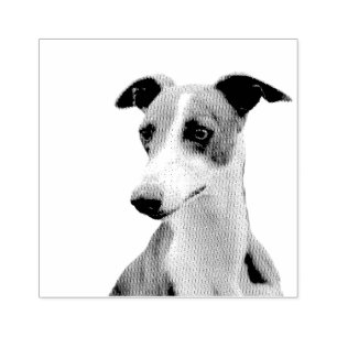 Tampons Encreurs Whippet