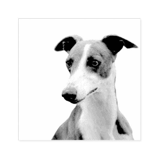 Tampons Encreurs Whippet (Impression)