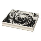 Tampons Encreurs Whitby Ammonite (Tampon)