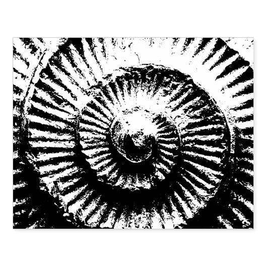 Tampons Encreurs Whitby Ammonite (Impression)