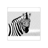 Tampons Encreurs Zebra looking at you (Impression)