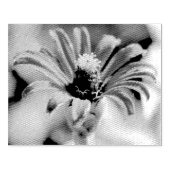 Tampons Encreurs Zinnia (Impression)