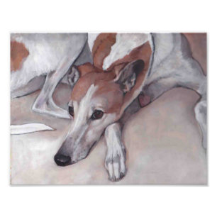 Tan and White Greyhound Dog Art Foto afdrukken Afdruk
