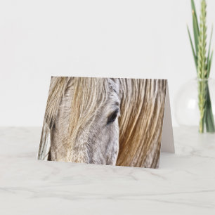 tan barn cheval carte de voeux