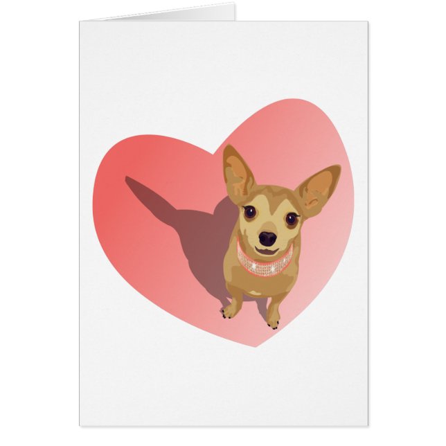 Tan Chihuahua in diamond pink collar en heart (Devant)