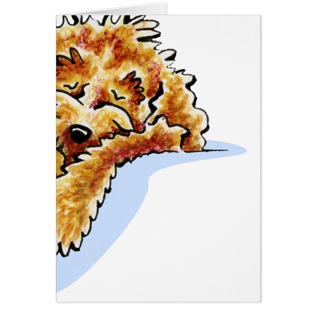 Tan Cockapoo Dream (Voorkant)