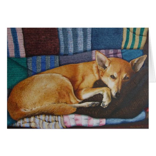 tan color german shepherd labrador cross race dog (Devant horizontal)