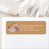 Tan Conch Shell Etiket (Insitu)