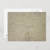 Tan Crocodile Leather Pattern Briefkaart (Voorkant / Achterkant)